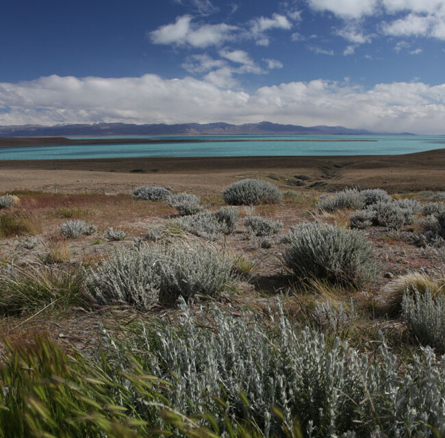 lago Argentina