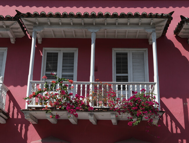 balcony in rose