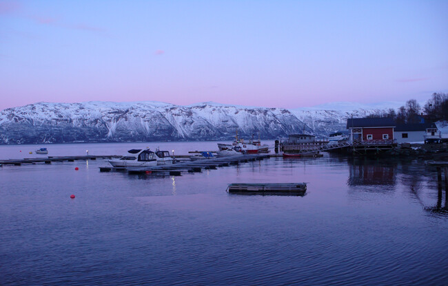 Fjordhafen in Pink