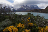 wildes Patagonien